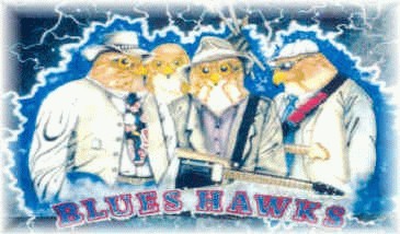 A cartoon of the band represented as themselves but with the heads of hawks.They are standing in a semi-circle, two with guitars in hand in front of an electric field of blue.
