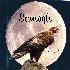 The Stoneagle logo (an eagle against the background of a large moon)  serving as a link to their site.